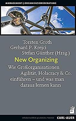 New Organizing: Wie Großorganisationen Agilität, Holacracy & Co. einführen – und was man daraus lernen kann (Management)