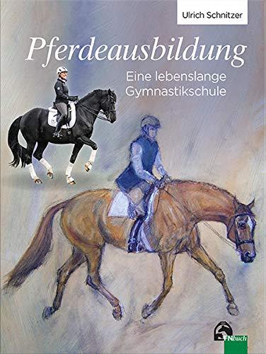 Pferdeausbildung: Eine lebenslange Gymnastikschule