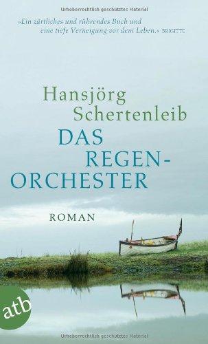 Das Regenorchester: Roman