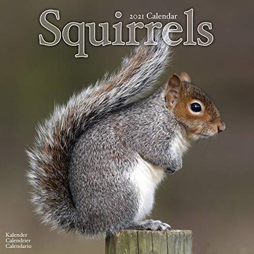 Squirrels 2021 Wall Calendar