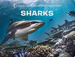 Sharks (Science for Toddlers)