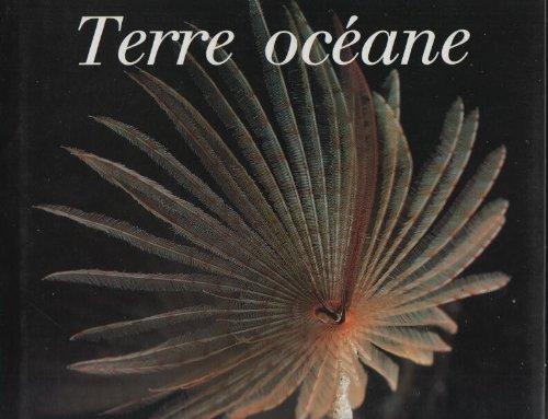 Terre océane