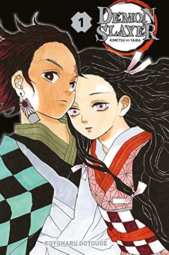 Demon slayer : Kimetsu no yaiba. Vol. 1