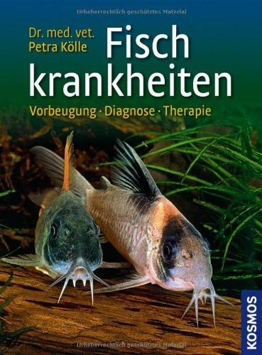 Fischkrankheiten: Vorbeugung, Diagnose, Therapie