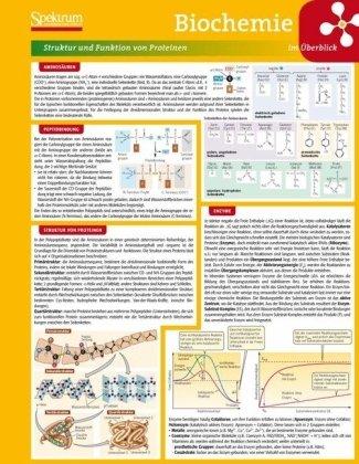 Lerntafel: Biochemie im Überblick (Lerntafeln Biologie)