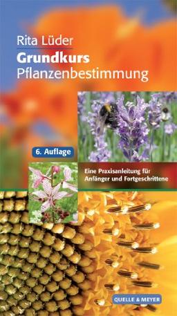 Grundkurs Pflanzenbestimmung: Eine Praxisanleitung für Anfänger und Fortgeschrittene