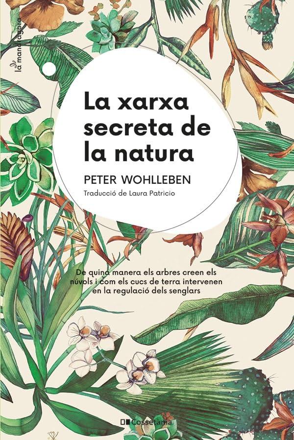 La xarxa secreta de la natura: De quina manera els arbres creen els núvols i com els cucs de terra intervenen en la regulació dels senglars (La Mandràgora, Band 16)