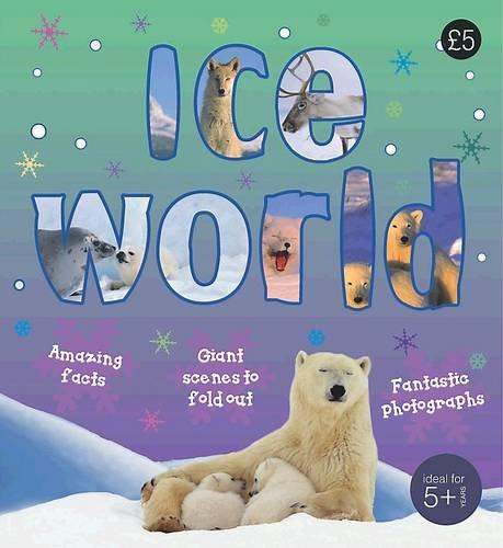 Fold Out Poster Books: Ice World