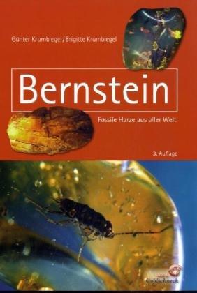 Bernstein: Fossile Harze aus aller Welt