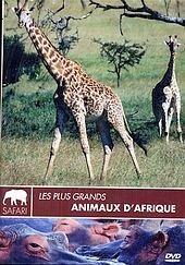 Les Plus Grands animaux d'Afrique [FR Import]