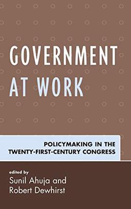 Government at Work: Policymaking in the Twenty-First-Century Congress