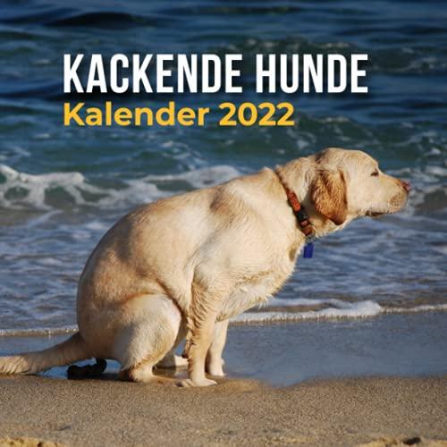 Kackende Hunde Kalender 2022: Lustige Geschenke für Frauen & Männer | Geschenkidee für Mitarbeiter, Tierliebhaber, Geburtstag oder Weihnachten (klimaneutrales Papier)