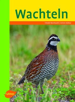 Wachteln