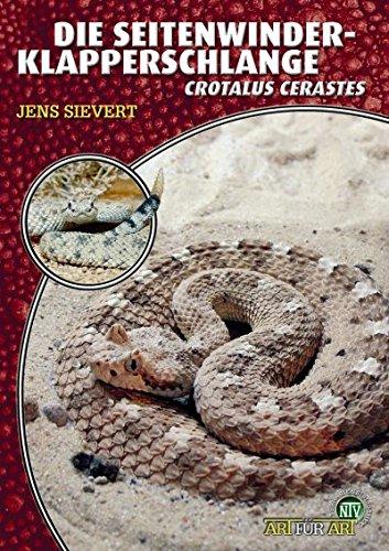 Die Seitenwinder-Klapperschlange - Crotalus cerastes