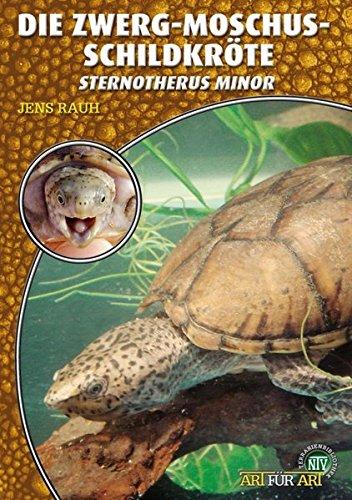 Die Zwerg-Moschusschildkröte: Sternotherus minor (Art für Art)