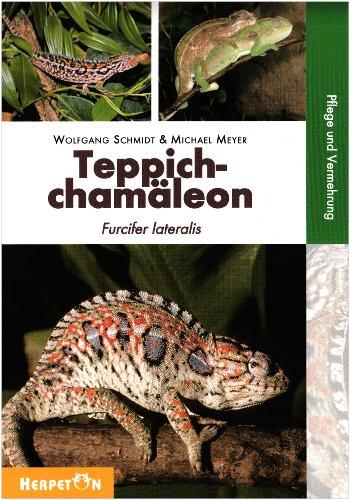 Teppichchamäleon: Furcifer lateralis