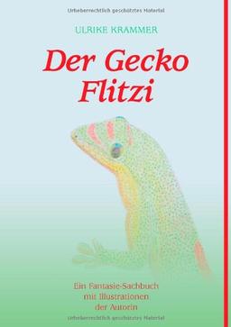 Der Gecko Flitzi. Ein Fantasie-Sachbuch mit Illustrationen der Autorin