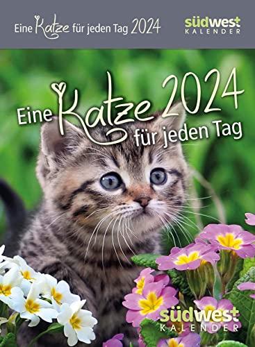 Eine Katze für jeden Tag 2024 - Tagesabreißkalender zum Aufstellen oder Aufhängen