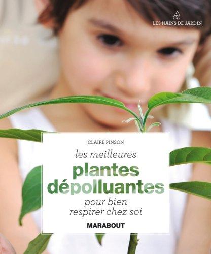 Les meilleures plantes dépolluantes pour bien respirer chez soi