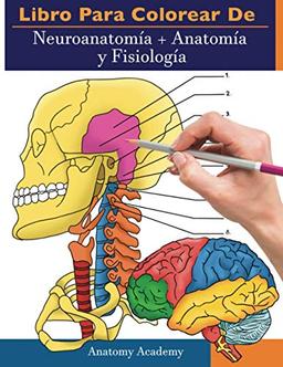 Libro para colorear de Neuroanatomía + Anatomía y Fisiología: 2-en-1 compilación | Libro de colores de autoevaluación para estudiar muy detallado para Estudiar y Relajarse