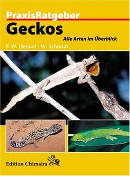 Geckos. Alle Arten im Überblick