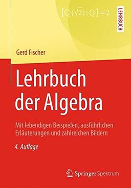 Lehrbuch der Algebra: Mit lebendigen Beispielen, ausführlichen Erläuterungen und zahlreichen Bildern