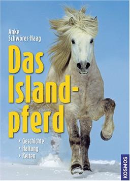 Das Islandpferd: Geschichte, Haltung, Reiten