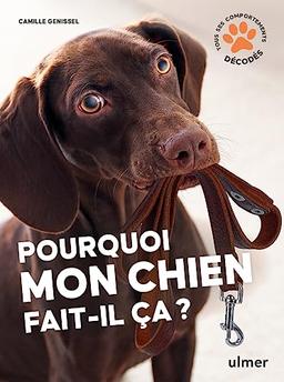 Pourquoi mon chien fait-il ça ? : tous ses comportements décodés