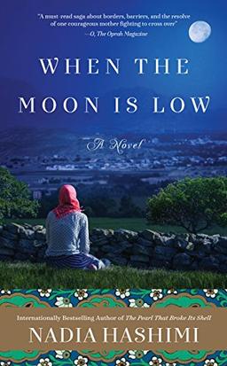 When the Moon Is Low: A Novel