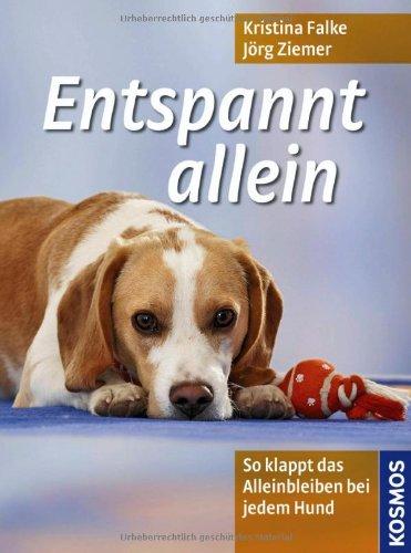 Entspannt allein: So klappt das Alleinbleiben bei jedem Hund