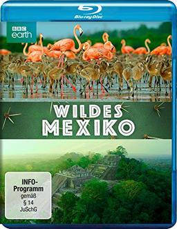 Wildes Mexiko  (BBC Earth) [Blu-ray]