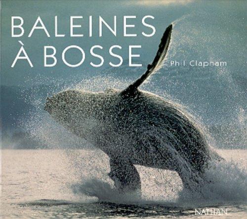 Baleines à bosses