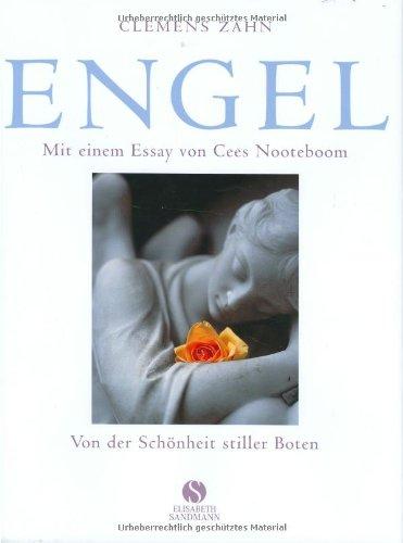 Engel. Von der Schönheit stiller Boten