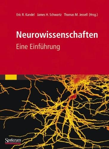 Neurowissenschaften: Eine Einführung