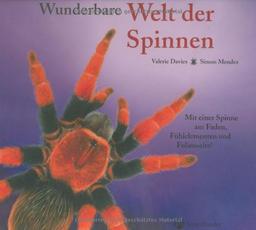 Wunderbare Welt der Spinnen