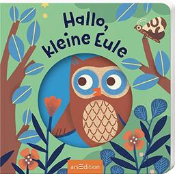 Hallo, kleine Tiere: Hallo, kleine Eule