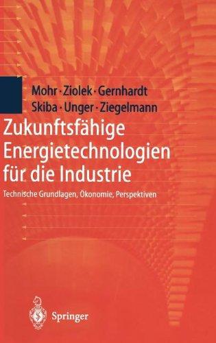 Zukunftsfähige Energietechnologien für die Industrie: Technische Grundlagen, Ökonomie, Perspektiven