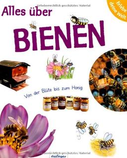 Erlebe deine Welt: Alles über Bienen: Von der Blüte bis zum Honig