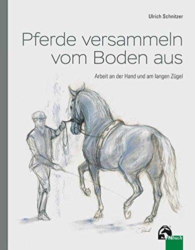 Pferde versammeln vom Boden aus: Arbeit an der Hand und am langen Zügel