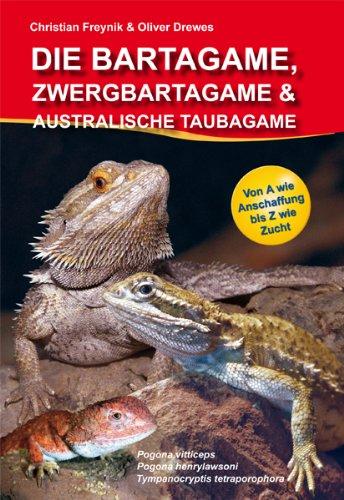 Die Bartagame, Zwergbartagame und Australische Taubagame