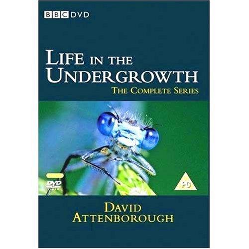 David Attenborough - Life In The Undergrowth [2 DVDs] [UK Import]