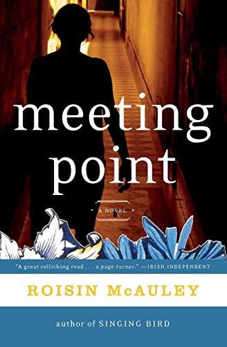 Meeting Point: A Novel