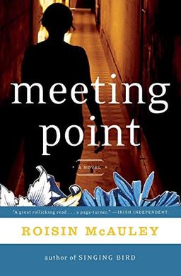 Meeting Point: A Novel