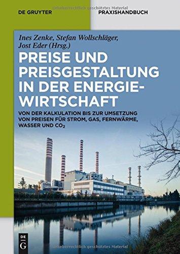 Preise und Preisgestaltung in der Energiewirtschaft: Von der Kalkulation bis zur Umsetzung von Preisen für Strom, Gas, Fernwärme, Wasser und CO2 (De Gruyter Praxishandbuch)