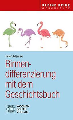 Binnendifferenzierung mit dem Geschichtsbuch (Kleine Reihe - Geschichte)