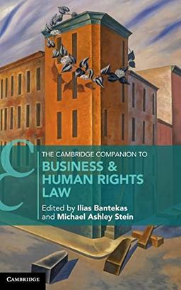 The Cambridge Companion to Business and Human Rights Law (Cambridge Companions to Law)