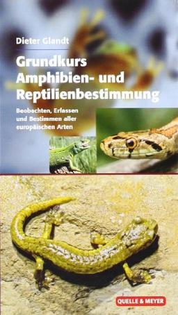 Grundkurs Amphibien- und Reptilienbestimmung: Beobachten, Erfassen und Bestimmen aller europäischen Arten