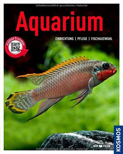 Aquarium: Einrichtung, Pflege, Fischauswahl (Mein Tier)