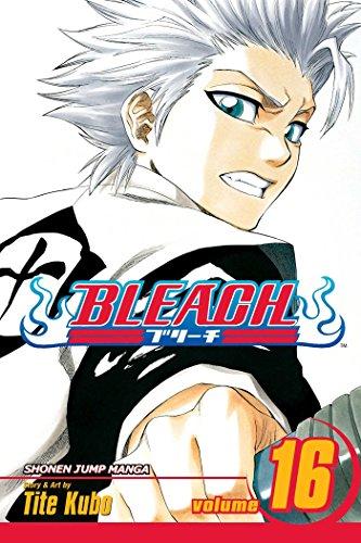 Bleach Volume 16