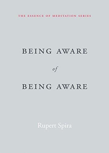 Being Aware of Being Aware: The Essence of Meditation, Volume 1 (Essence of Mediation)